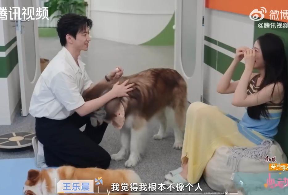 柯爱林王乐晨聊开了太为柯爱林和王乐晨开心！两人终于坐下来深聊，乐晨分享心态变化