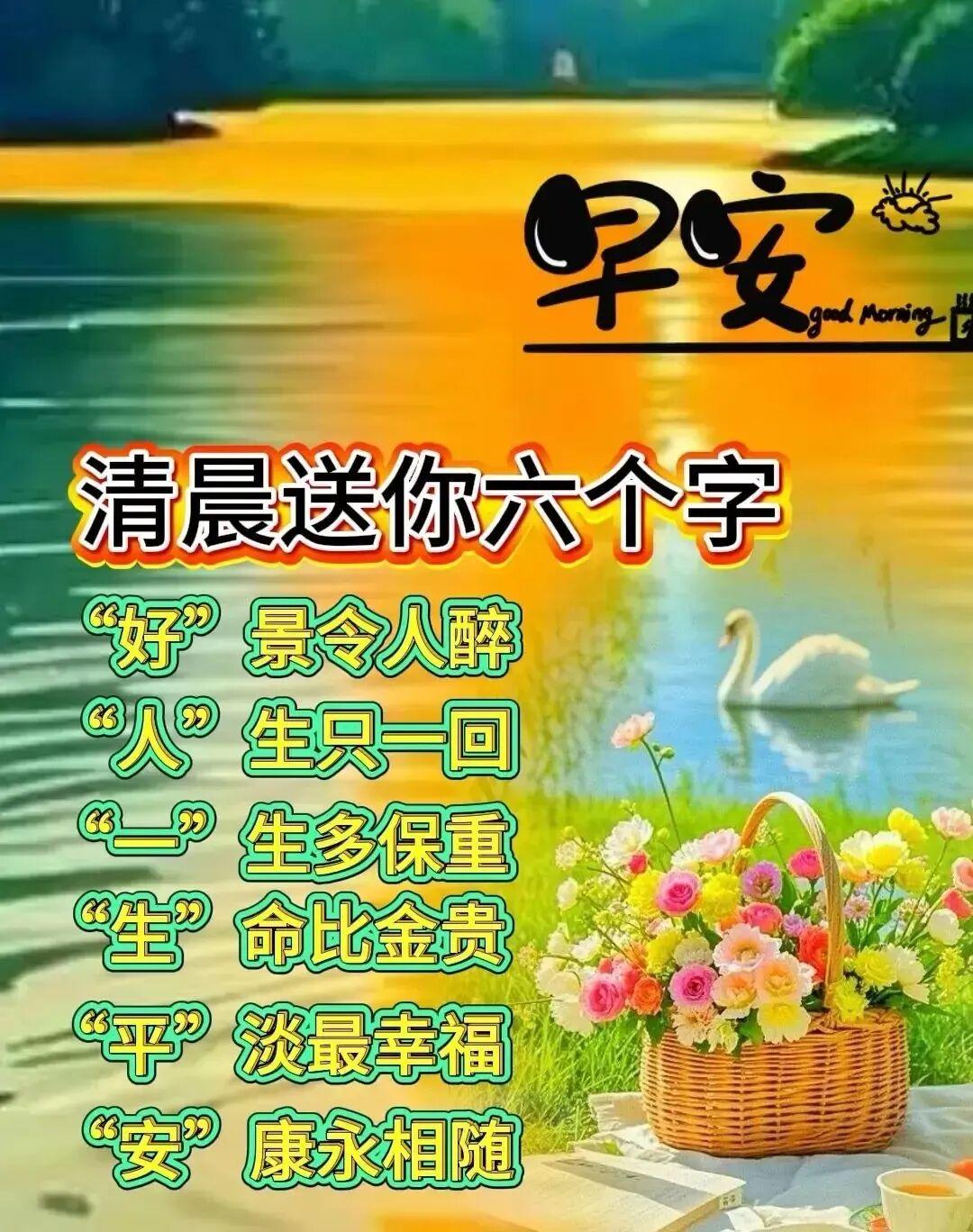 🤝💕😊有人相伴前路不迷茫，有人牵挂心底不孤单，有人关怀余生常知足，有人问候