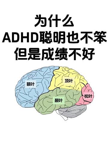 为什么ADHD孩子聪明也不笨，但是成绩不好？工作50多年见过很多这样的孩子，明