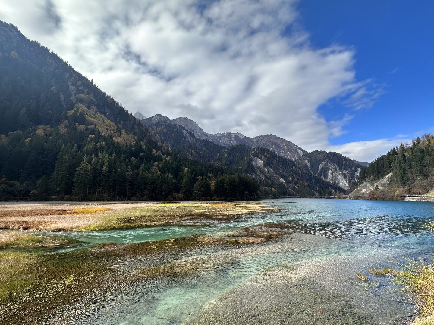 在九寨沟误入莫奈油画世界近期的九寨沟天气时晴时阴，景色绝美。​​​