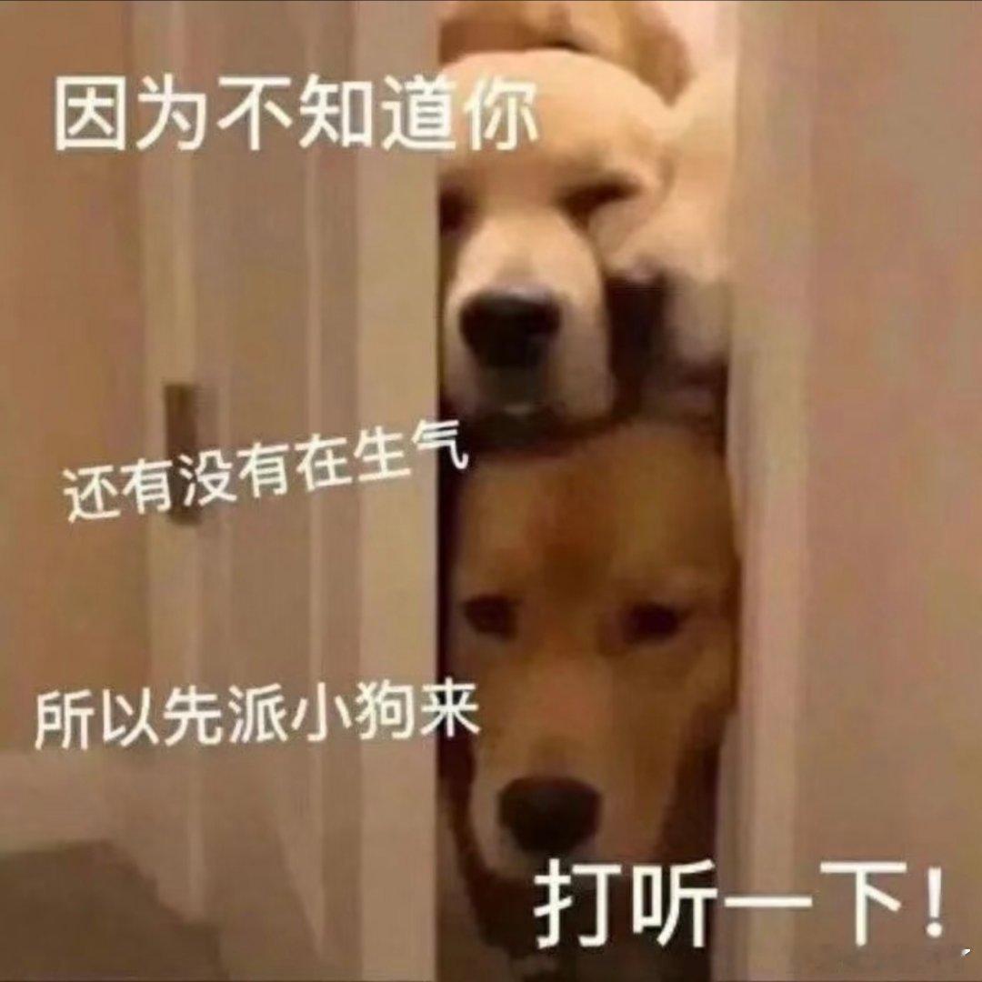 搞笑表情包。​​​