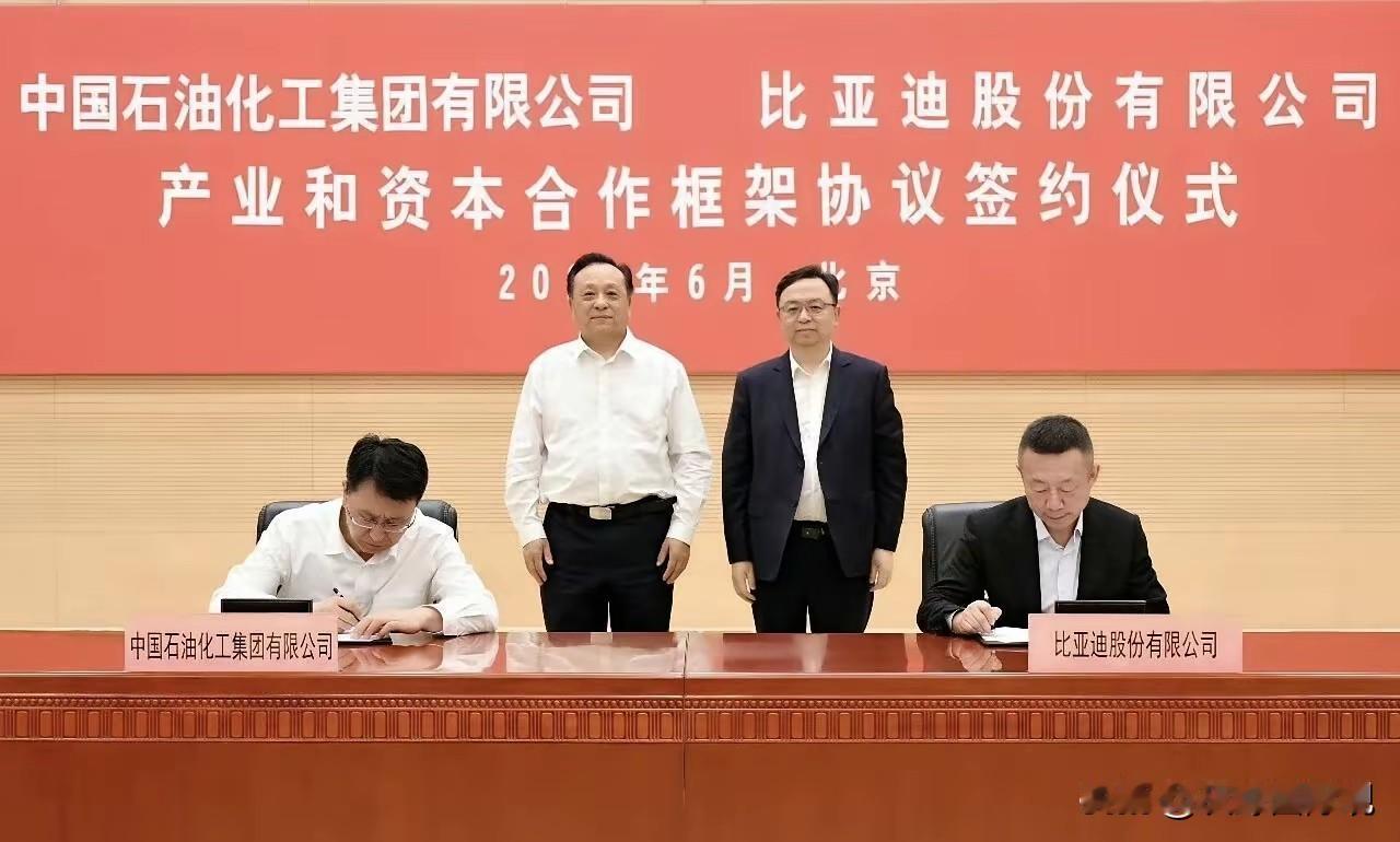 王传福拥抱了大佬中石化！在中国电动化进程的鼎盛时期，比亚迪再次迈开一大步，