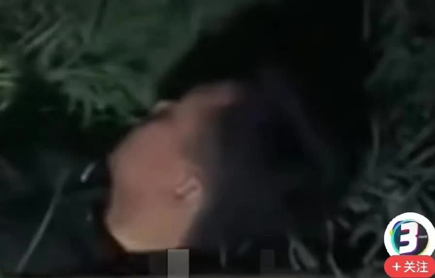 泪目！在父亲坟边“贴贴”！他这一躺，让多少人破防了[哭哭][哭哭][哭哭][流泪