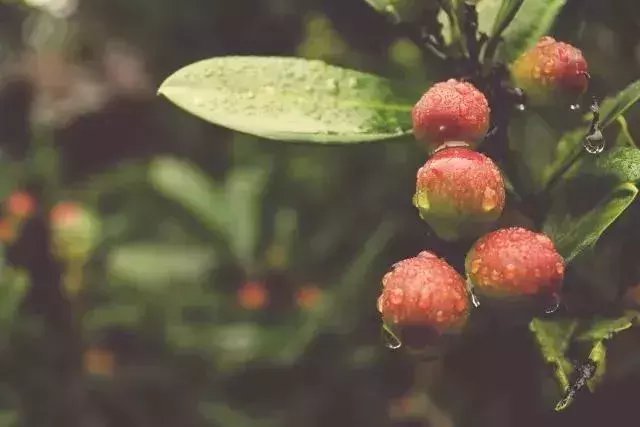 空腹一定不能吃的12种食物, 你知道几个?