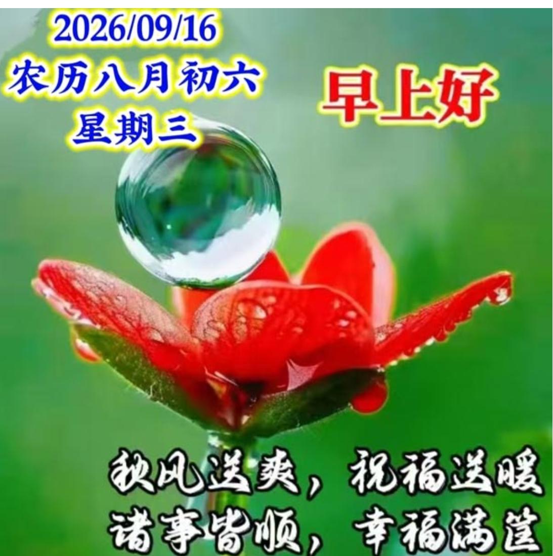 夜去晨来又一天，清晨祝福送身边；相互惦念记心中，隔屏问候胜握手；平安路上