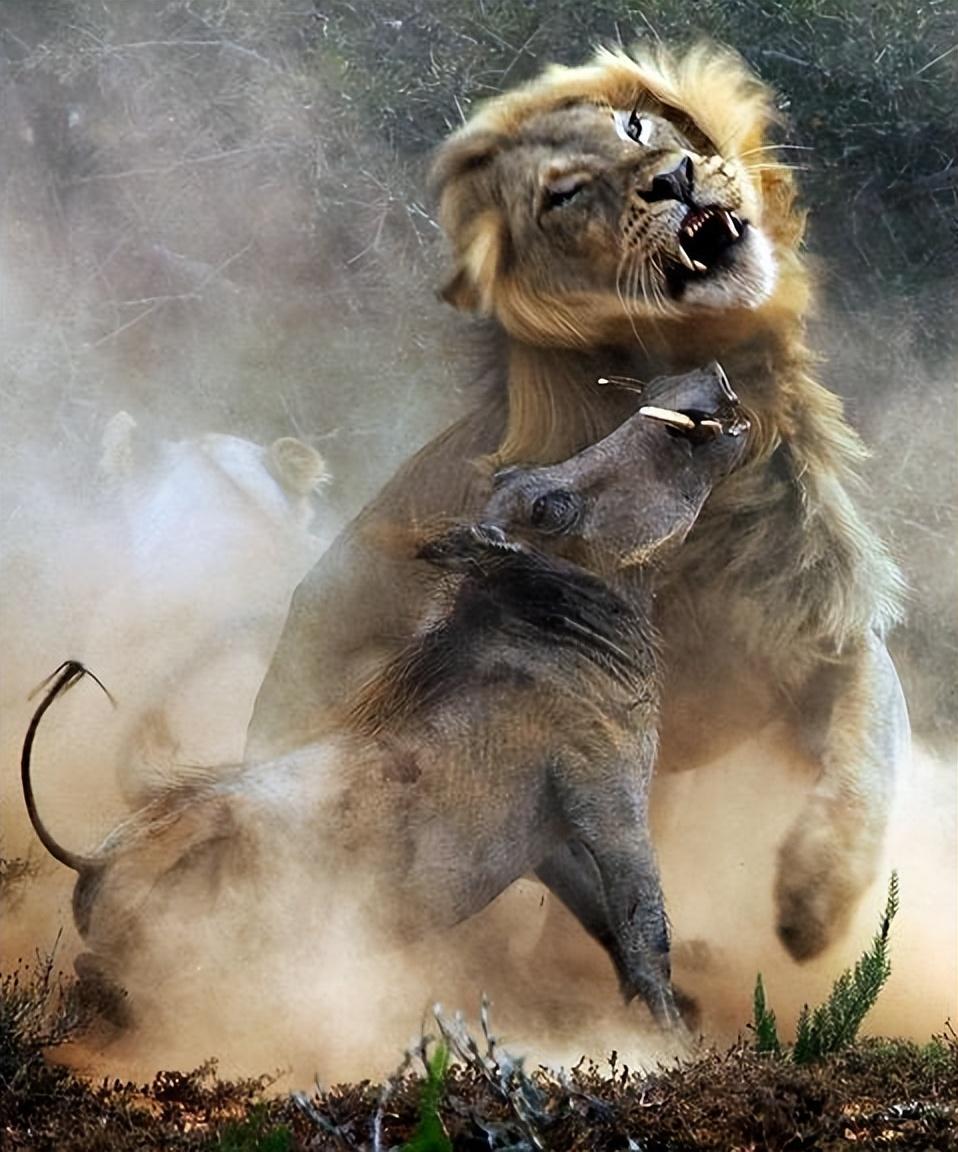 古代始终面临着一个巨大的难题，那就是生存问题，每当灾年降临，田地龟裂，饿殍遍野，