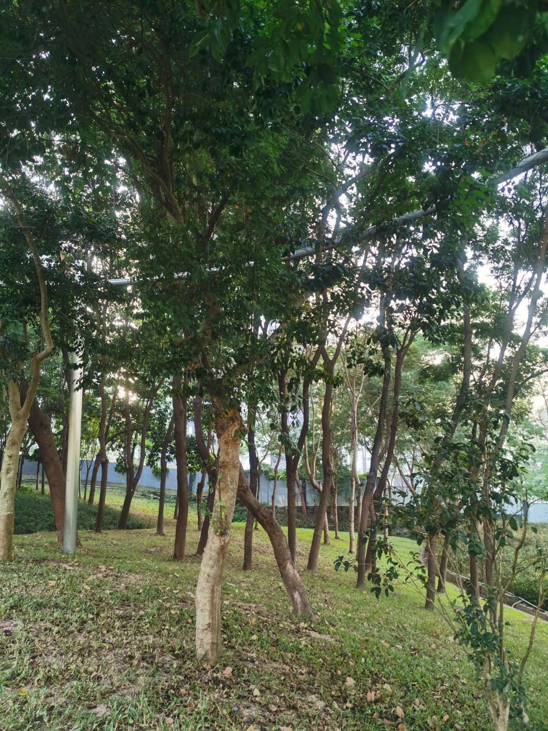 还需奋斗的都起来了，早～