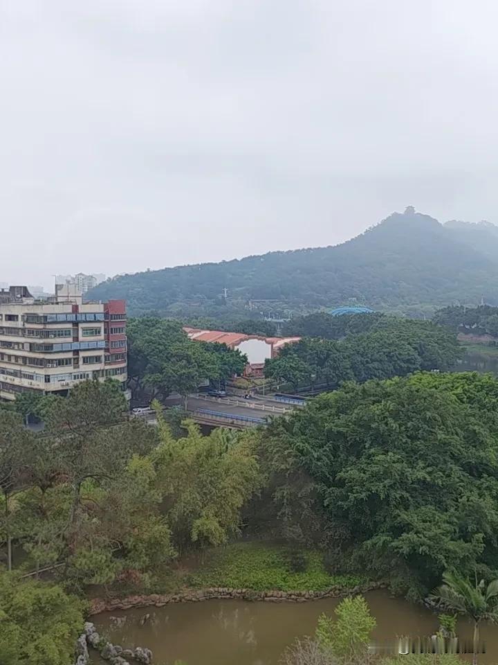 靠算命、看风水、做法事赚钱，搞不好是要坐牢的。很多人觉得，这顶多是“愿打愿挨