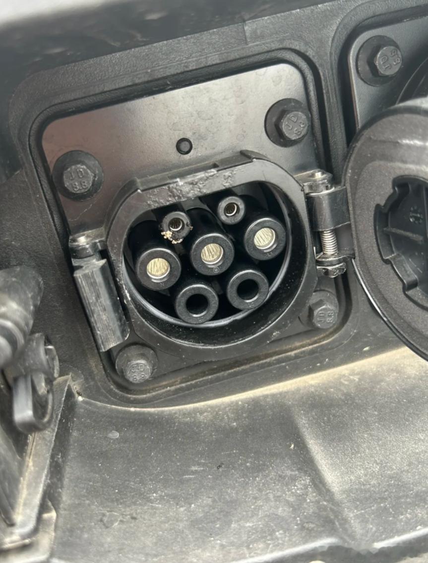 蚂蚁为什么会在充电口产卵？