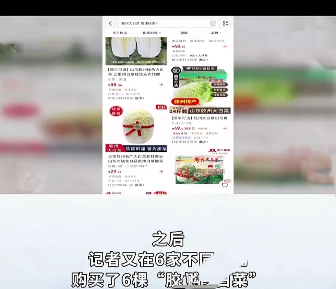 白菜刺客，打完折155元，您吃过吗胶州白菜这下火了，一颗4斤的白菜打完折155
