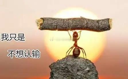 反内卷题材行情持续！最近热门板块梳理：1.光伏及光伏材料个股：阳光电源、隆基绿能