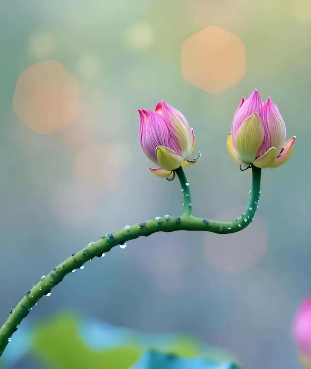 突然发现，我和老伴生活中的很多话，都是妥妥的“废话”：1、每天出门上班前，都