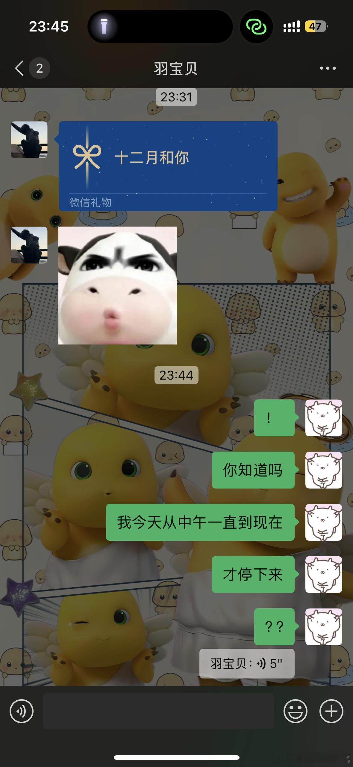 十二月要更加宠我，谢谢