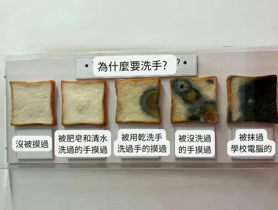 好直观…这就是饭前洗手的重要性！