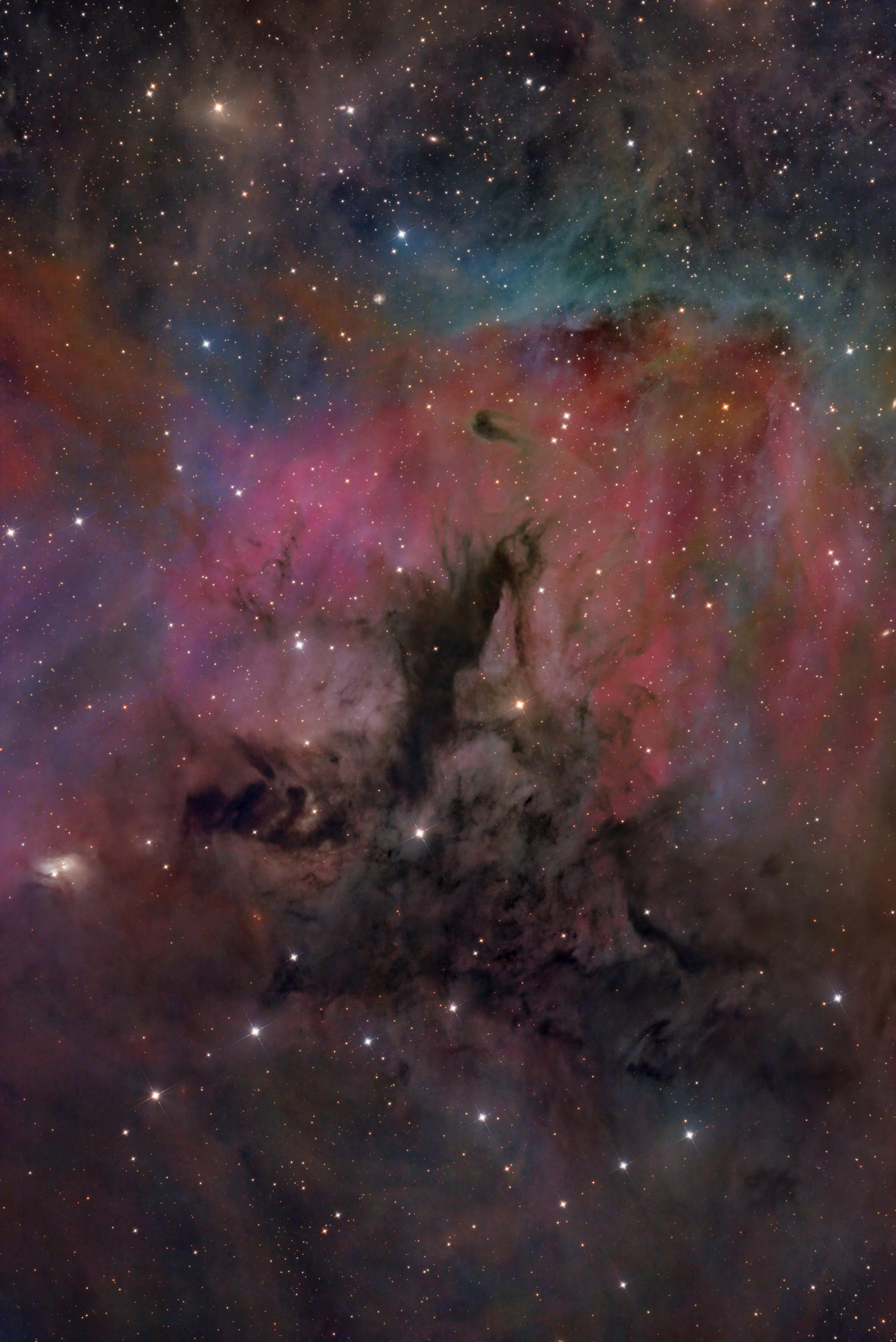 鲸落星辰！。宇宙究竟藏着多少“奇珍异兽” ✨Barnard 3 兰花螳...