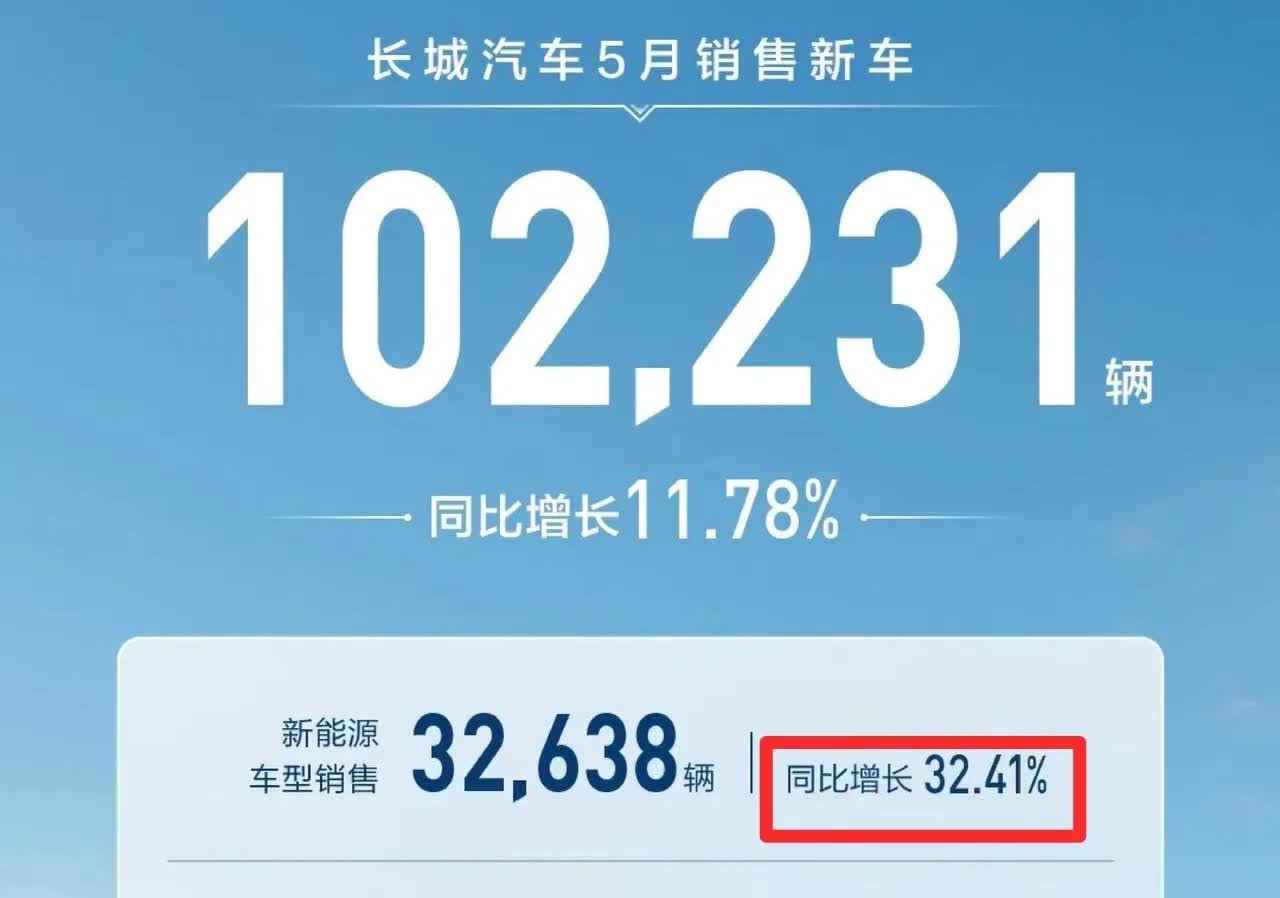 长城销量超吉利银河，不过吉利也挺厉害，银河单独发个榜了。