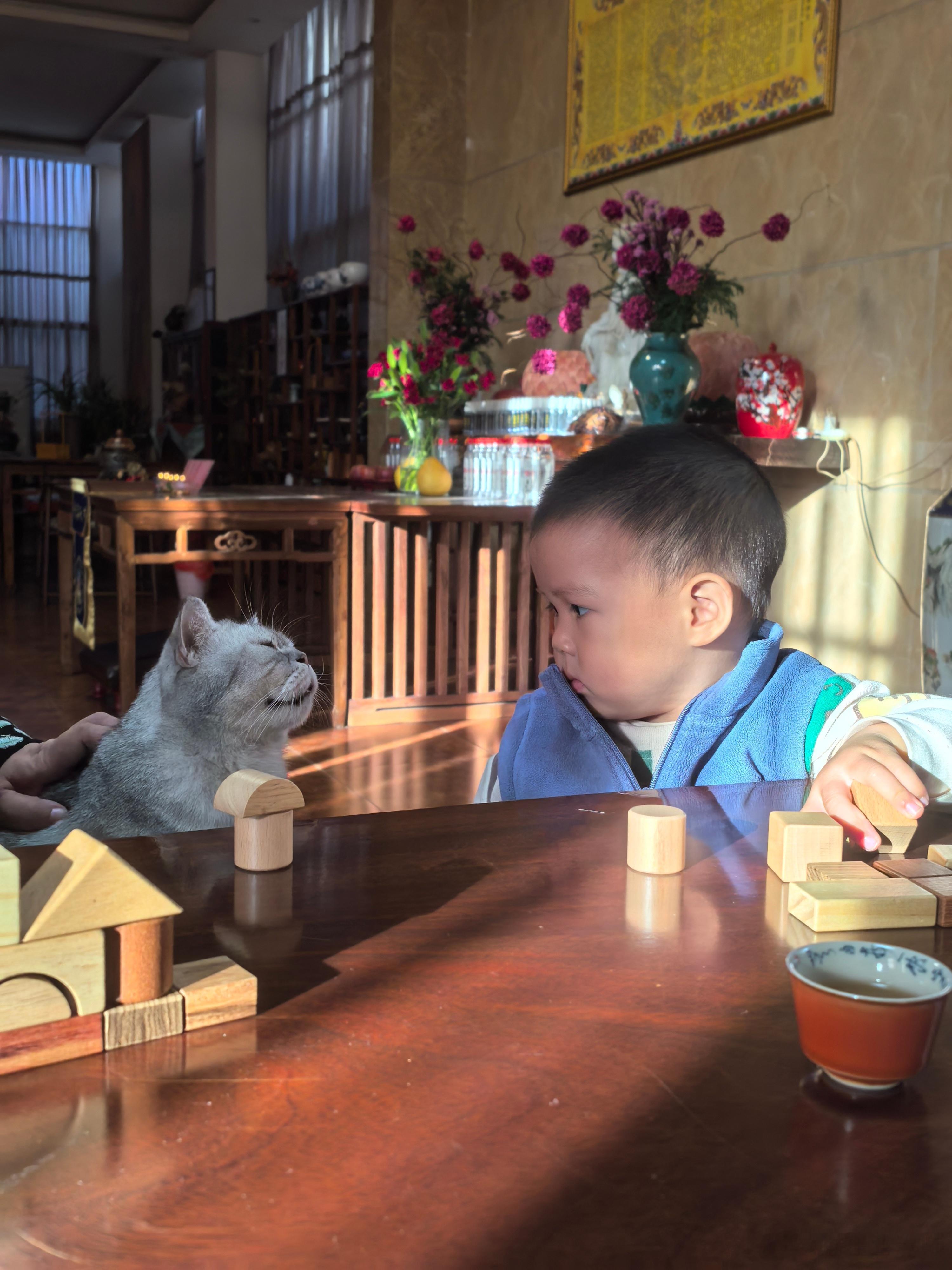 被师父宠爱的两小只美好的一天从师父的早餐开始图2是师父用咱们的五黑粉做的馒头小