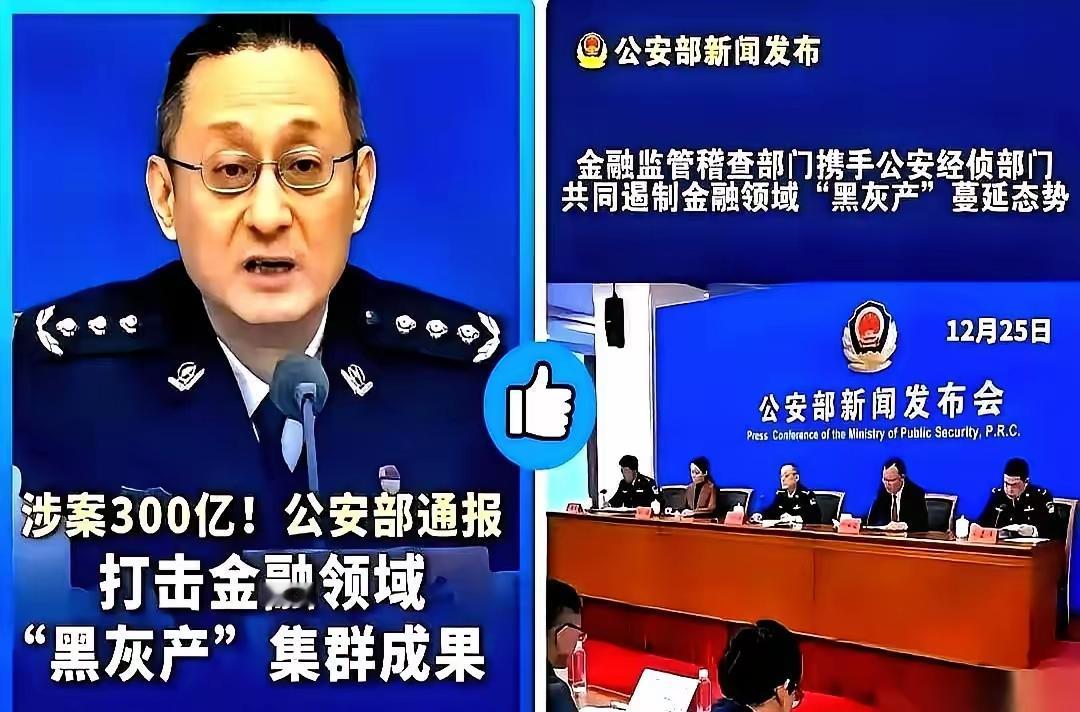 公安部这次开会，等于直接掀了桌子。一句话挑明：别管你叫“金融科技”还是“普惠金