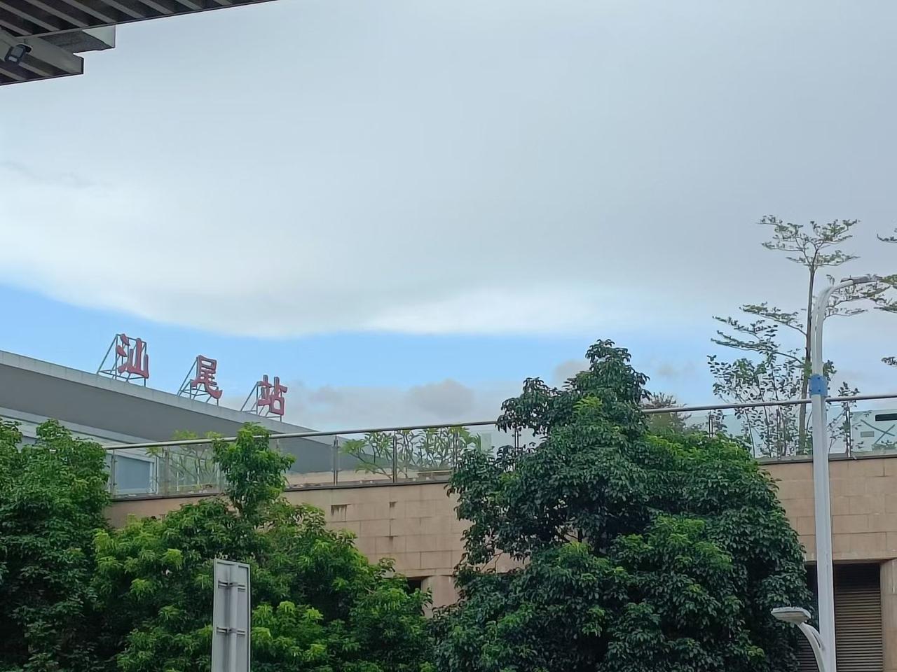今日运势：乙巳年乙酉月丁未日2025.10.5日鼠：守规矩别越界牛：注