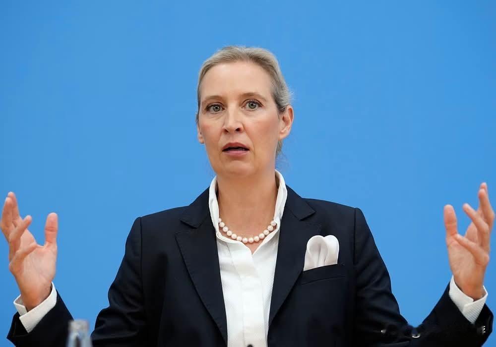 德国极右翼政党选择党（AfD）领袖魏德尔：我恳请，再次恳请乌克兰、俄罗斯与美国坐