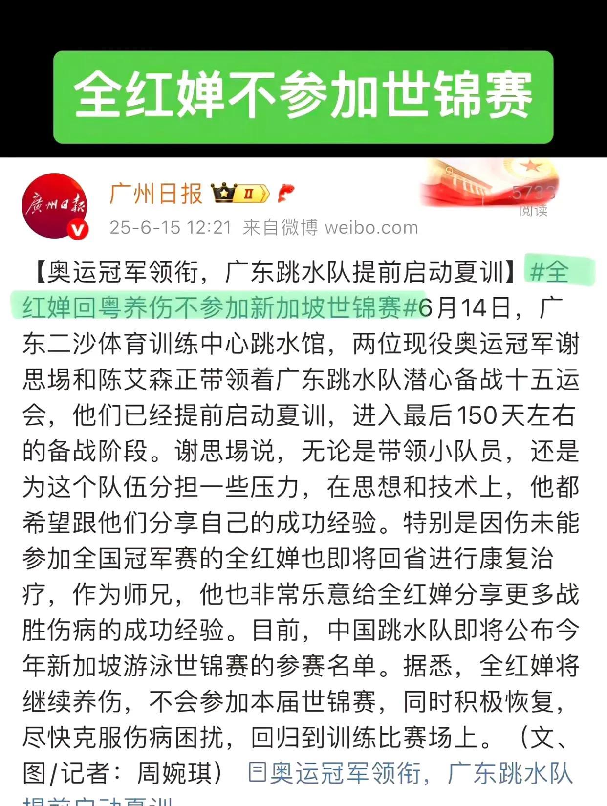 全红婵因伤不参加7月份的新加坡，跳水世锦赛，陈芋汐双人搭档掌敏洁，全红婵东京奥运