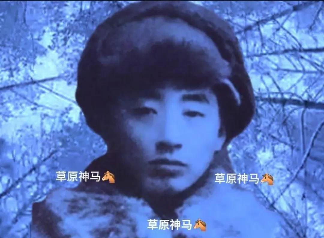 打造哈东乐园的三位黄埔生，你都了解吗九一八事变后，珠河地区抗日运动风起云涌、如