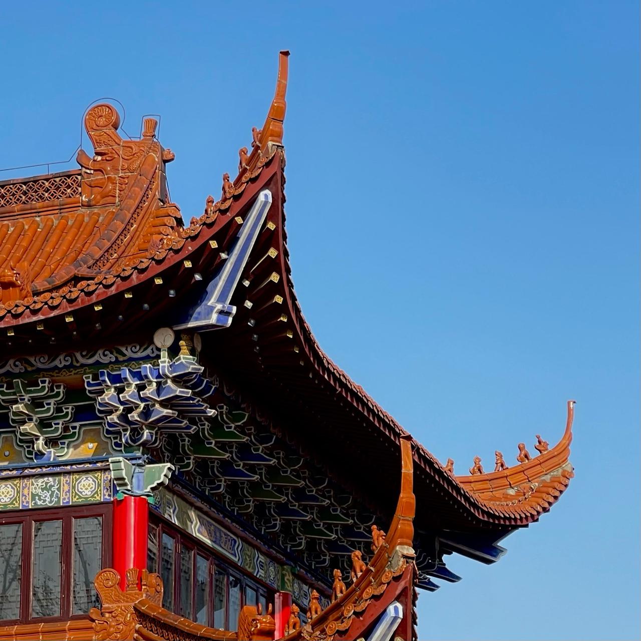 嘿，朋友！今天咱们聊点不一样的东西——佛教智慧。别一听“佛教”两个字就觉得遥不可