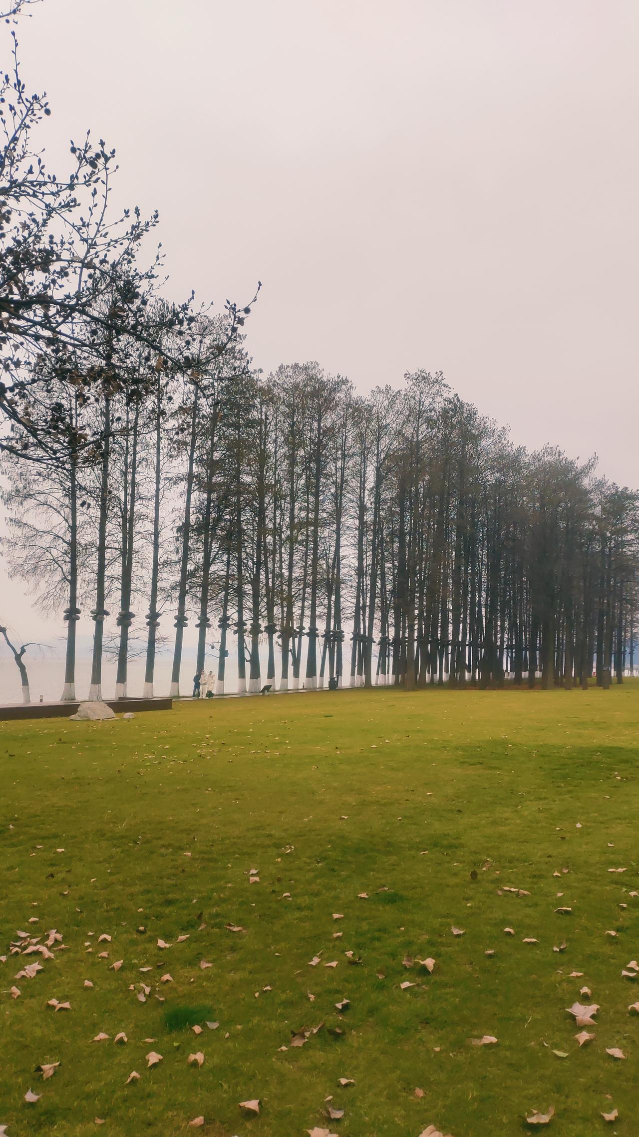 男人啊要真迷上一个得不到的女人那就真完了在男人心目中，这个世界上，