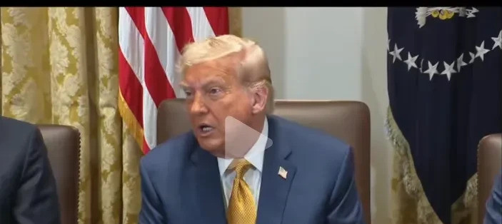 美国没乱套因为奴性深美国社会没崩盘，真不是什么韧性强！别
