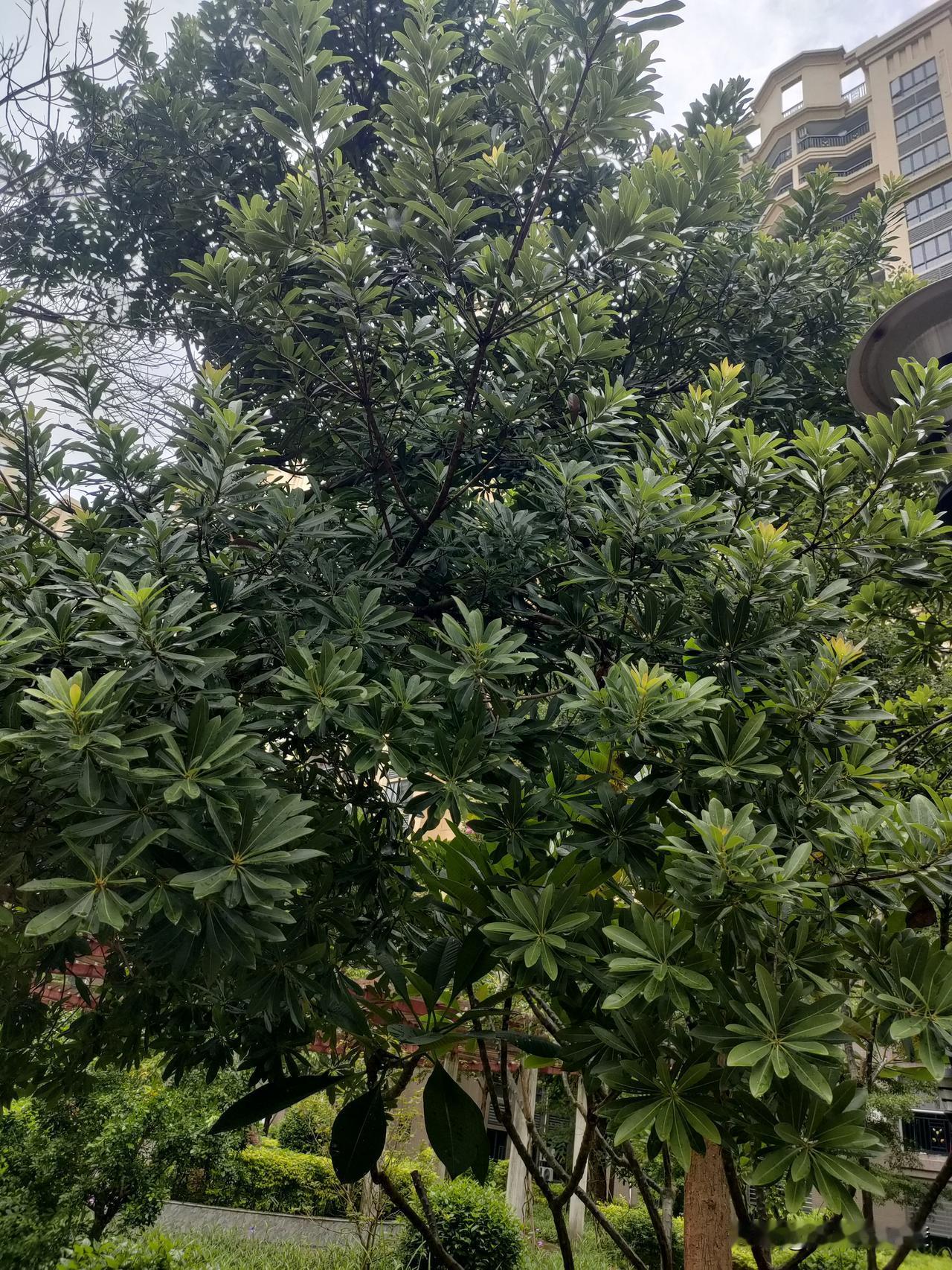 我今儿穿这青蛙皮套在街上卖崽儿，有个姐们儿蹲下来买气球，边挑边跟我唠“女人到底啥