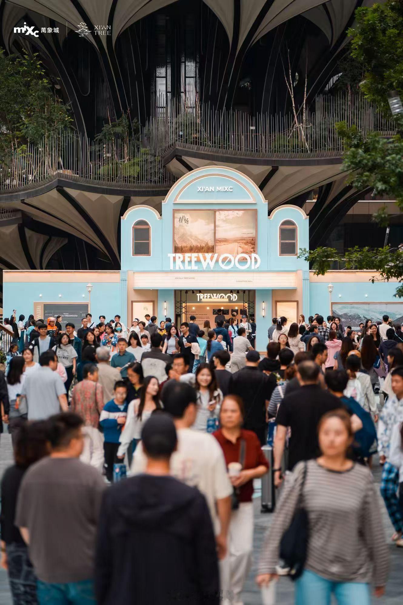 树万这人气！𝐆𝐑𝐎𝐖𝐖𝐈𝐓𝐇𝐓𝐑𝐄𝐄树生万物西安万象