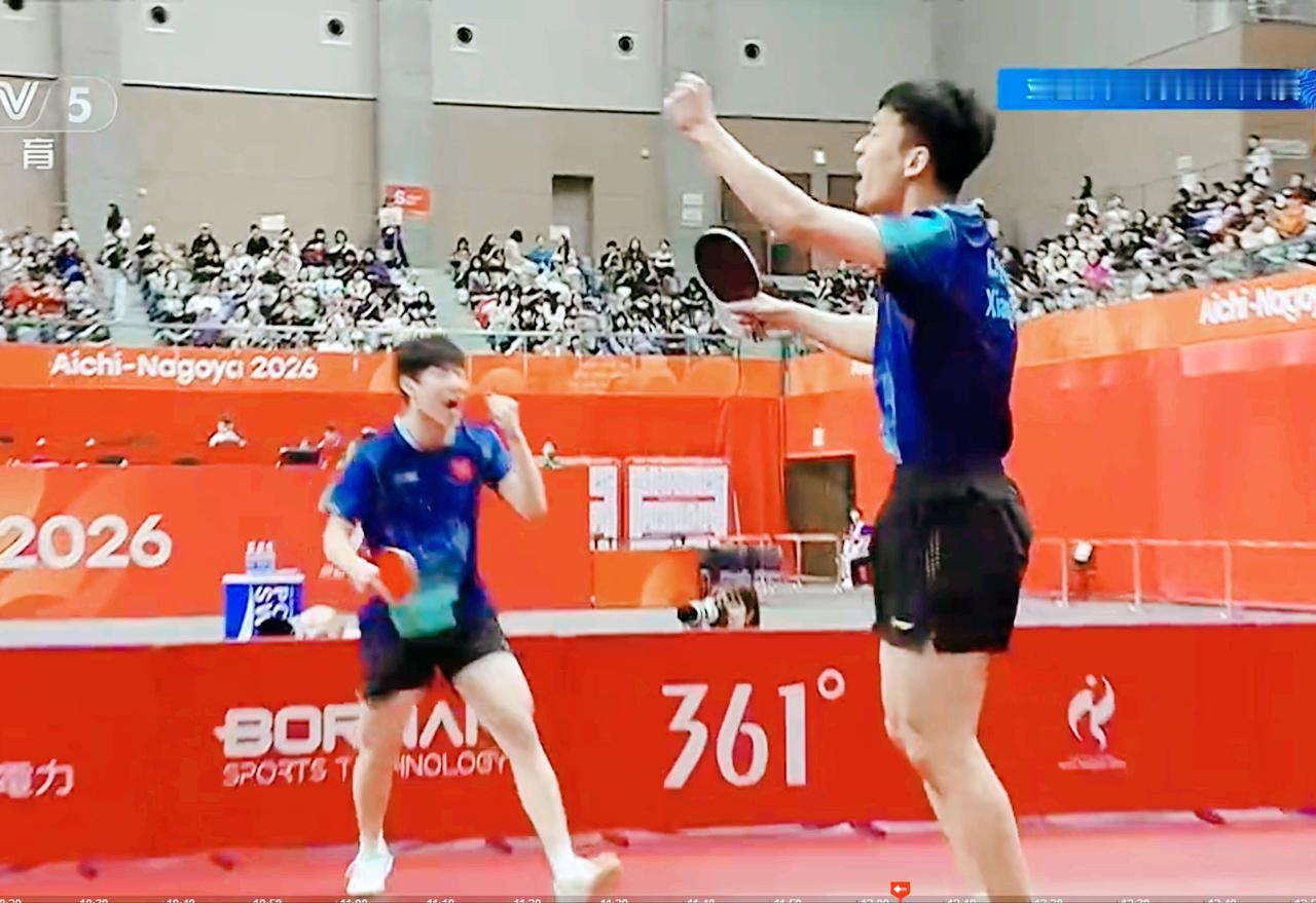 笑死我了！张本智和每次大喊前，大登赶快和他碰拳！因为相比于温瑞博/向鹏，队友
