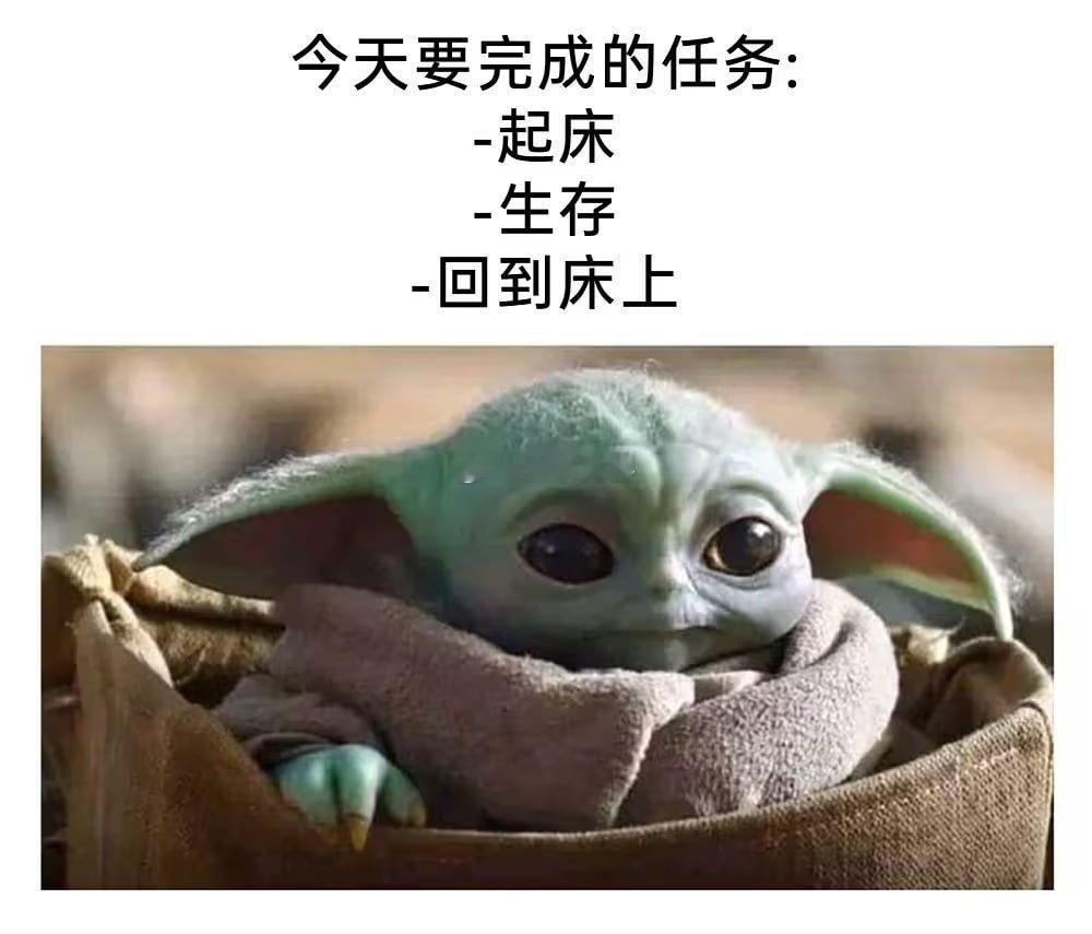 今天要完成的任务