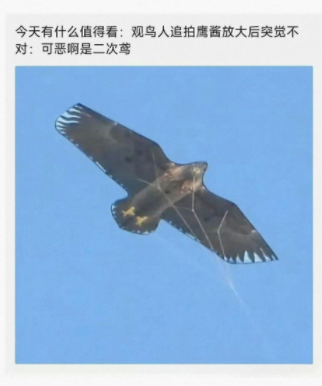 是二次鸢啊