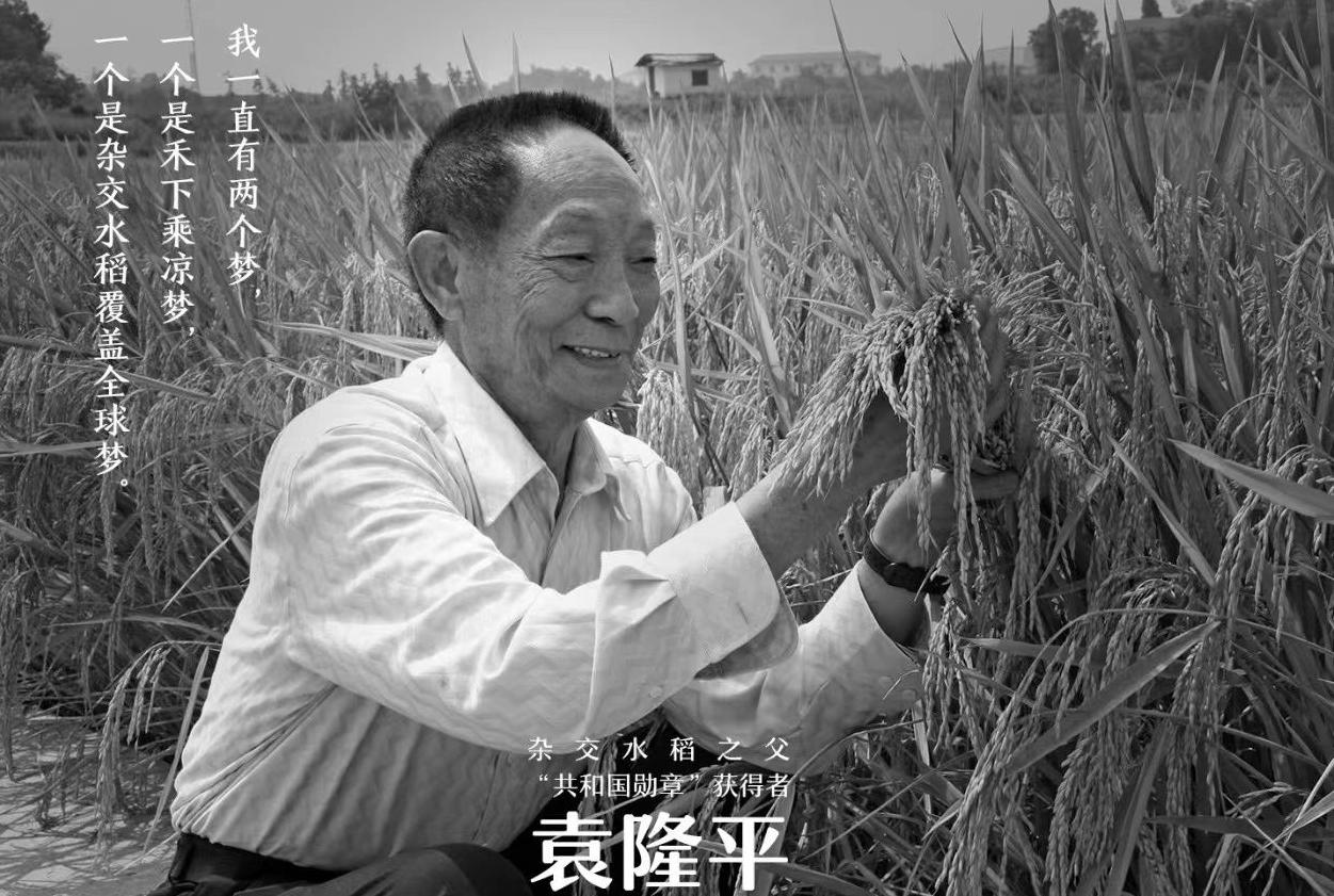 为了流量诋毁袁隆平院士？沈阳警方立刻刑拘，结局一点不意外！近日，沈阳警方通