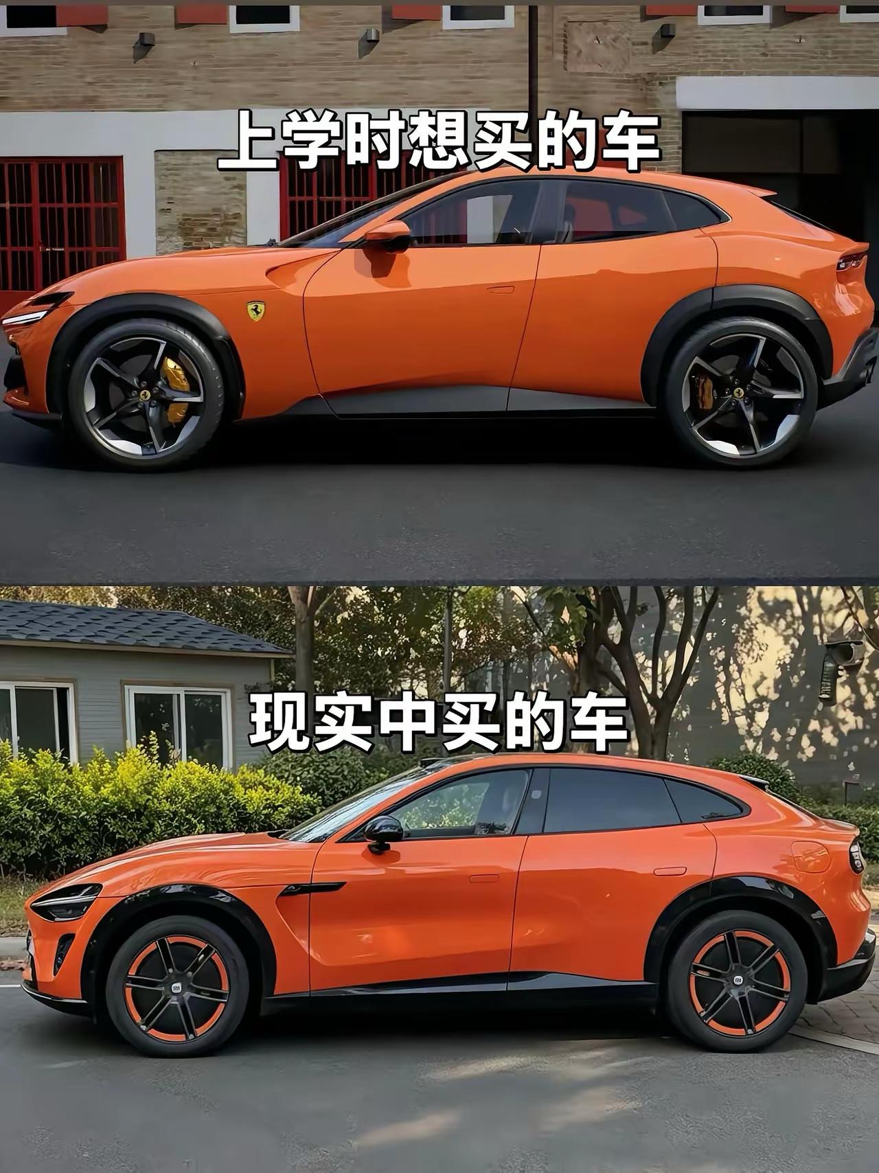 理想与现实