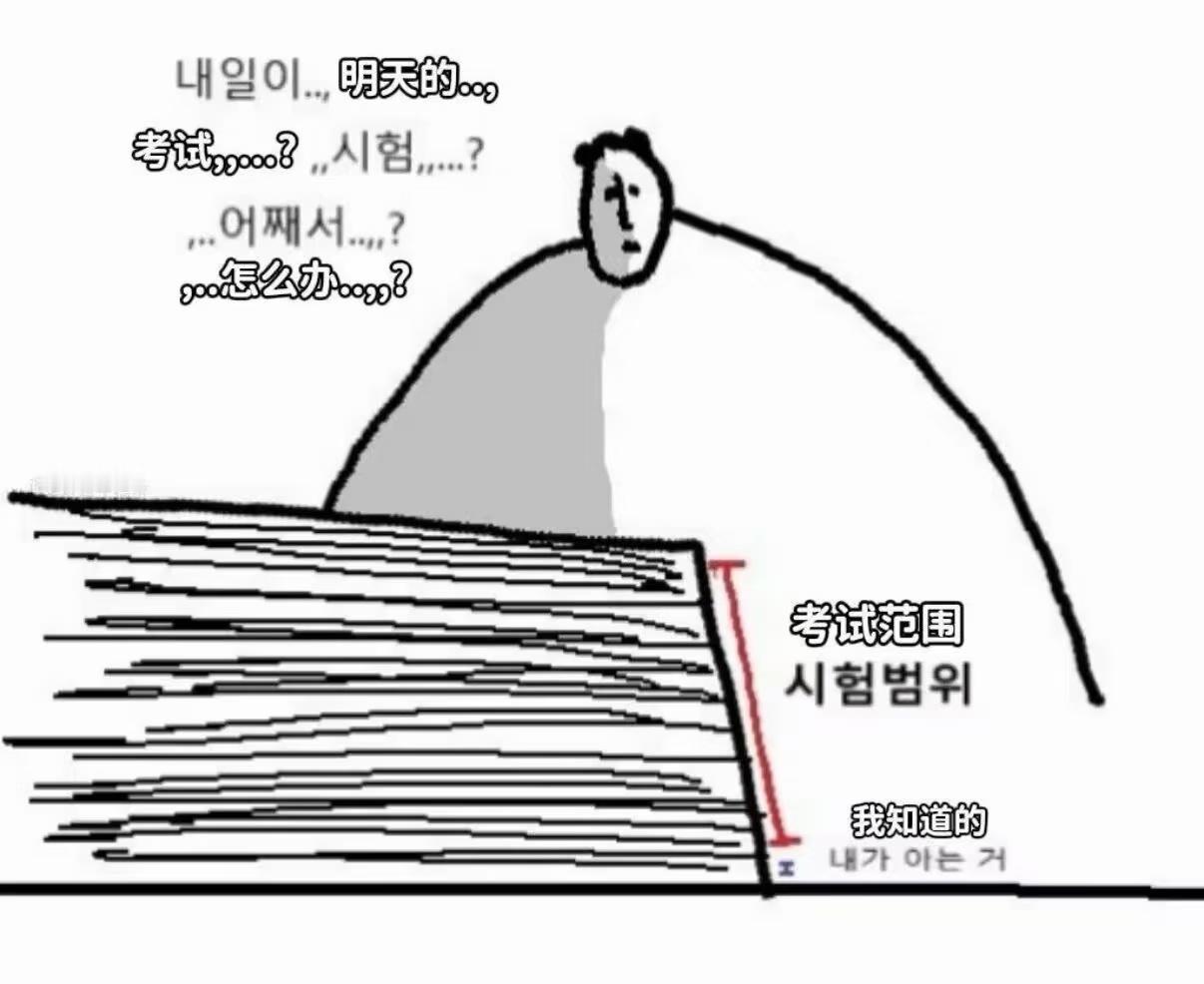 猫meme每天的工作/学习状态belike：