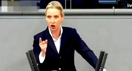 德国魏德尔说：能逼的美国人坐下来谈判在历史上只发生了两次...第一次是抗