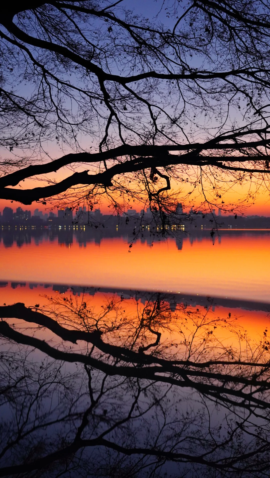 1.10实拍❗️冬日西湖日出美到失语！🌅