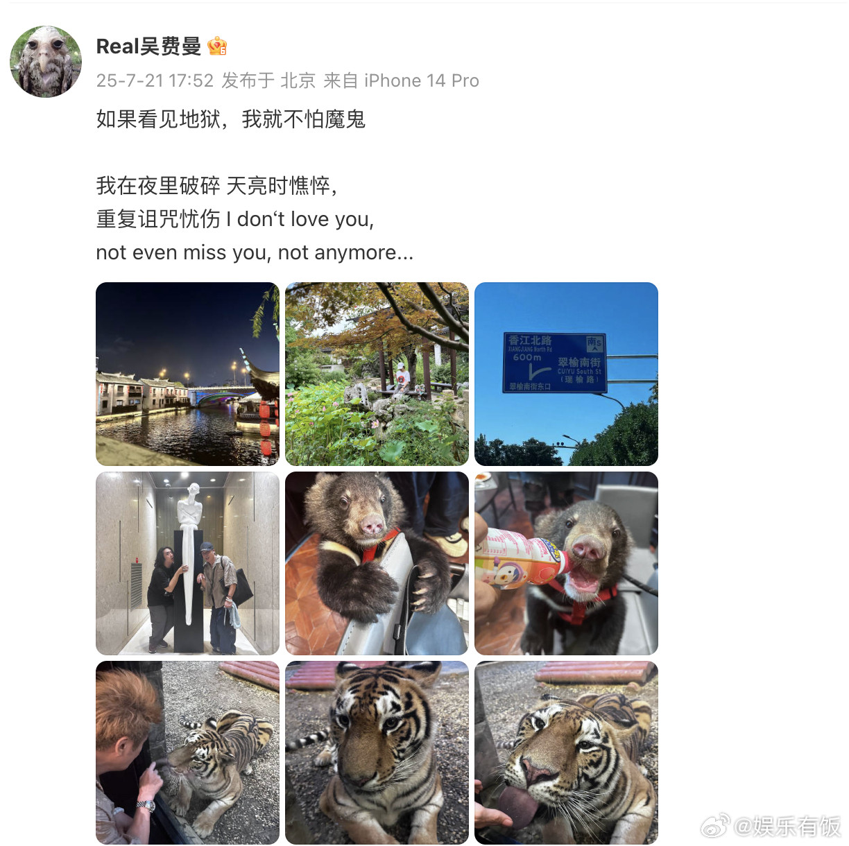 费曼回应绘画天赋费曼和真的小熊交朋友分享日常生活啦~回应画画天赋上热搜，表示“