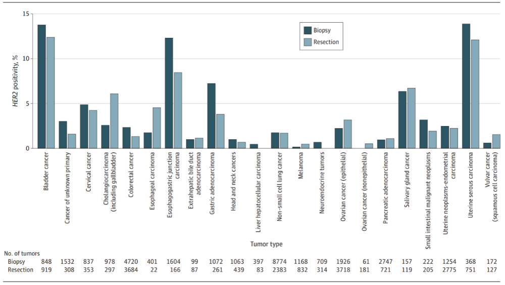 在超过65, 000例实体瘤中进行HER2 IHC泛肿瘤检测的真实世界经验