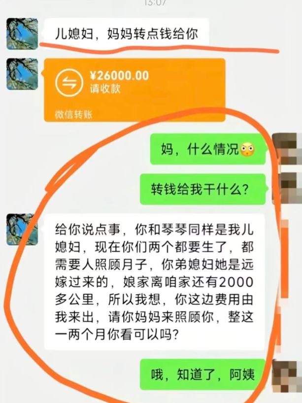 两个儿媳妇同时生娃，婆婆想着小儿媳是远嫁，决定伺候小儿媳坐月子，并给大儿媳转2