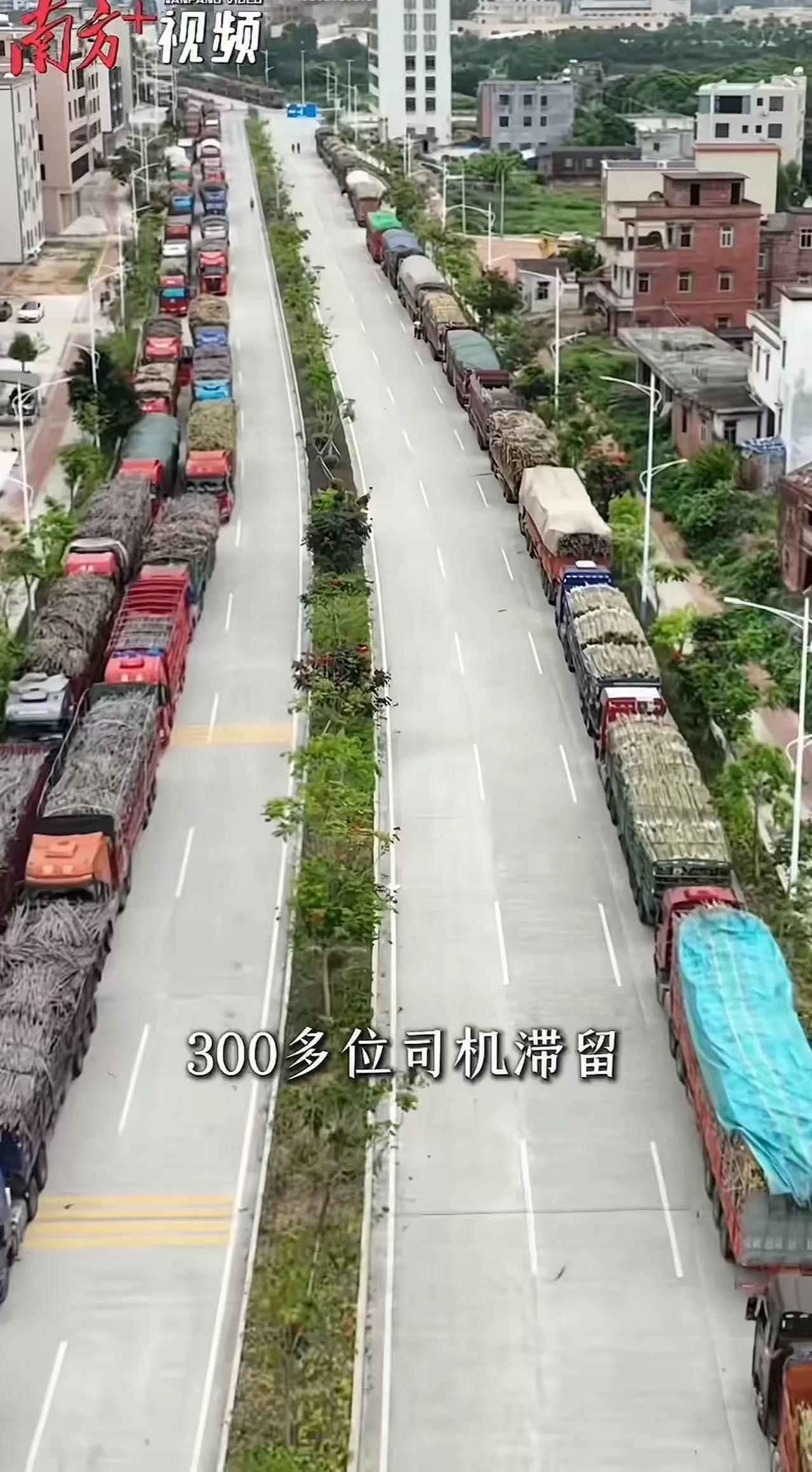 广东湛江一家糖厂，直接把“排队损失”算到自己账上，货车等超24小时，每吨补10块