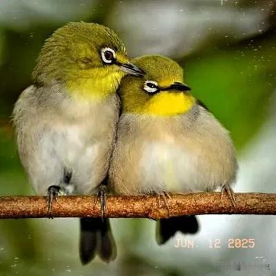 25届考生注意！分数刚好压一本线，如何正确填报志愿？上好策略：立足保一本，精