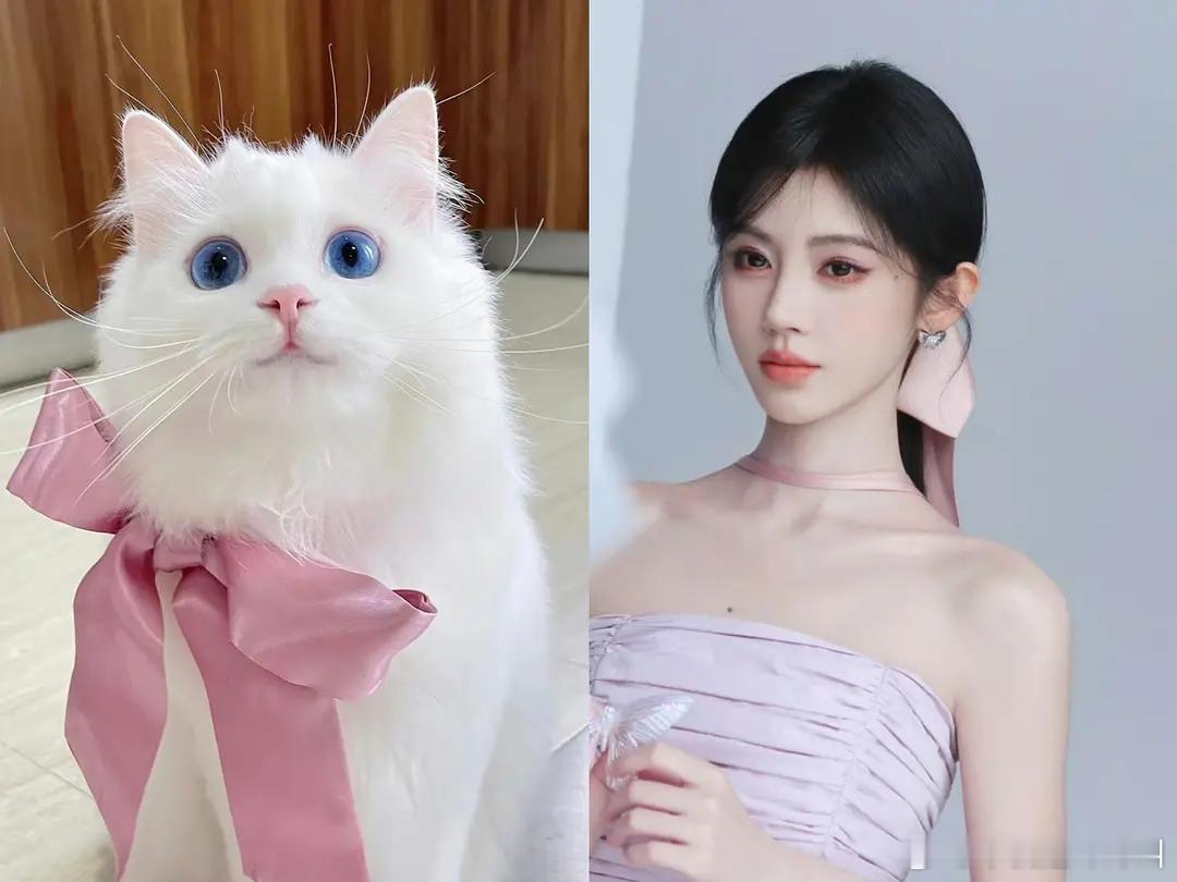 鞠婧祎MAC宣传造型图猫塑崛起吧🐱