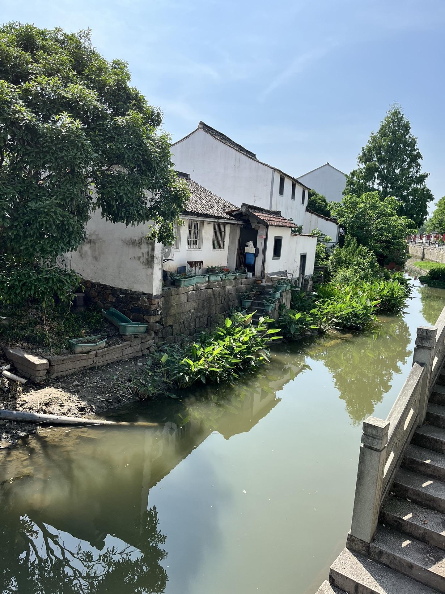 慢下来看世界 最美乡村风景 古村落风景 江南水乡美如画 西兴古镇