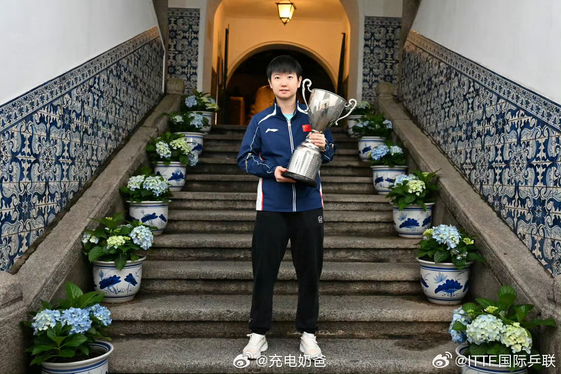澳门世界杯2026王楚钦、孙颖莎夺冠后，在澳门市政署大楼和“天浪淘园”内的澳门