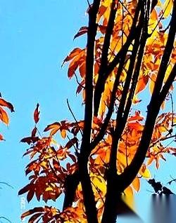 我儿子，国科大的博士。就这七个字，搁几年前，我能在村里横着走。谁见了不得竖个大