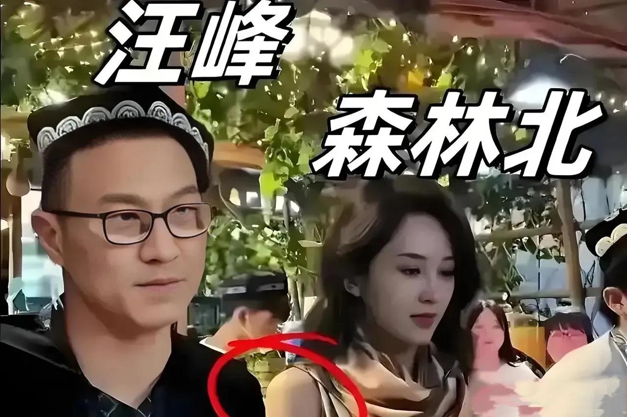 2025年7月，汪峰与女友森林北（李巧）携双方家人共赴日本奈良开启家庭度假，这场