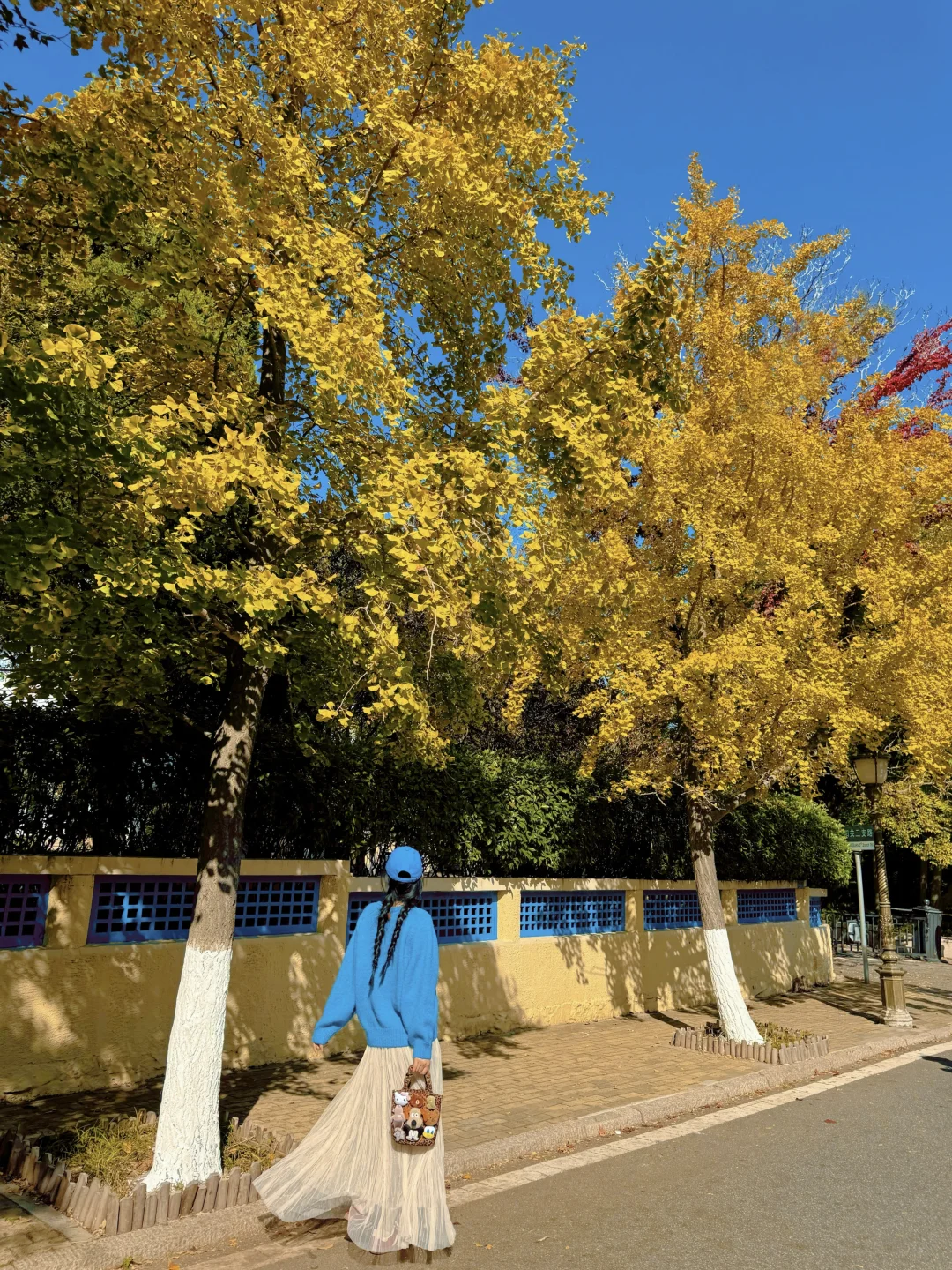 青岛赏秋🍂千万不要错过的18个宝藏机位📷